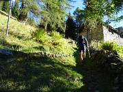 11 A questo punto  non deviamo a sx per il 201 per il Cadelle , ma proseguiamo diritti per imboccare il sent. 202 per il Passo di Dordona